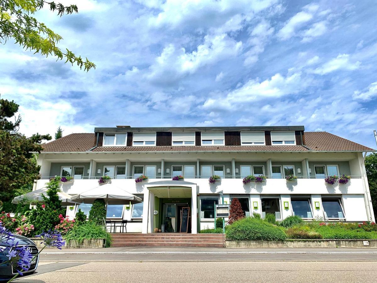 Hotel Zur Flueh Бад-Зекинген Экстерьер фото
